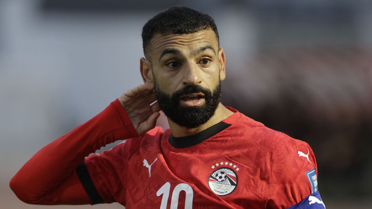 FIFA要求埃及世界杯球衣去掉七冠星标